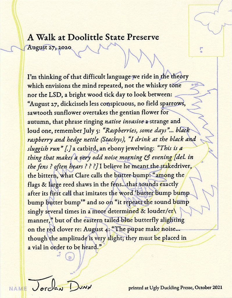 A WALK AT DOOLITTLE STATE PRESERVE by Jordan Dunn