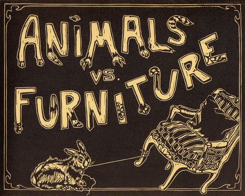 ANIMALS vs. FURNITURE by Normandy Sherwood; Illustrations by Jesse Hawley