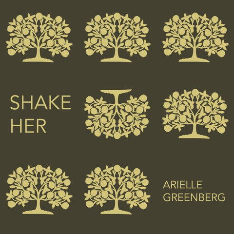 SHAKE HER by Arielle Greenberg