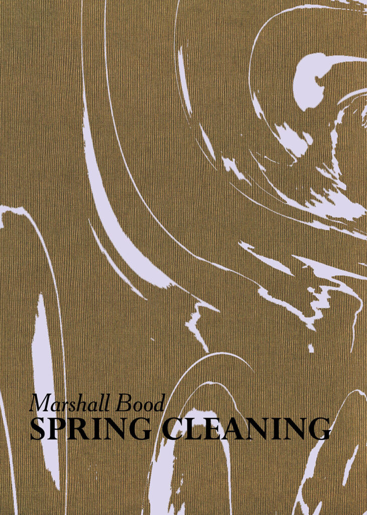 SPRING CLEANING by Marshall Bood