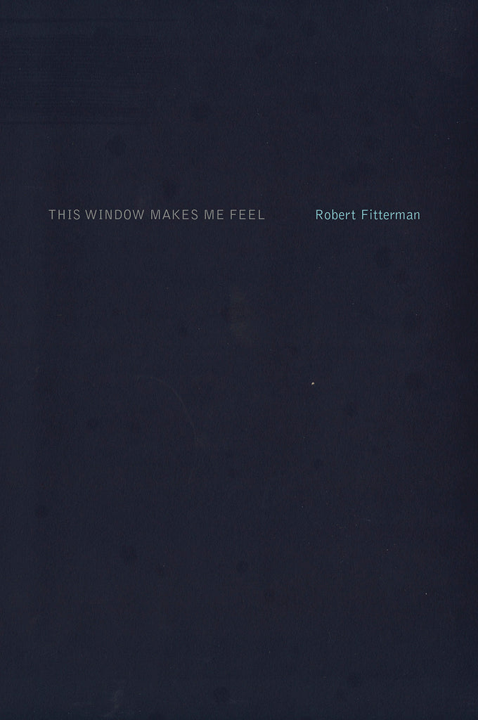 THIS WINDOW MAKES ME FEEL by Robert Fitterman